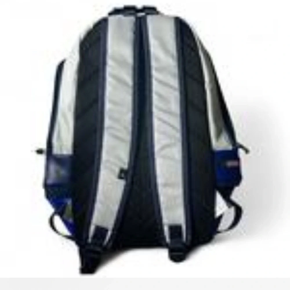 Stylish Blue and Gray Backpack